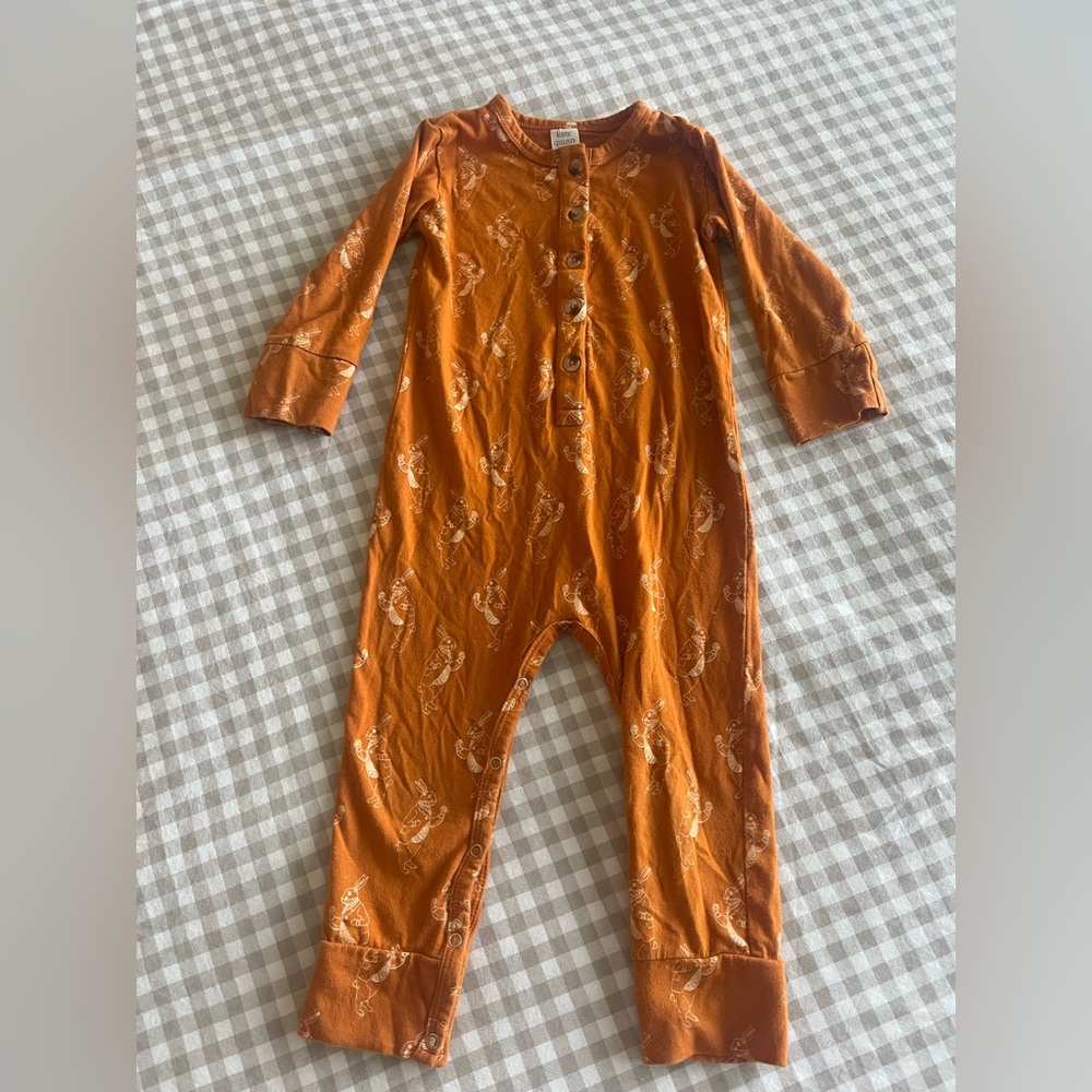 Kate Quinn organics Peter Rabbit Easter romper
Size 18/24 months